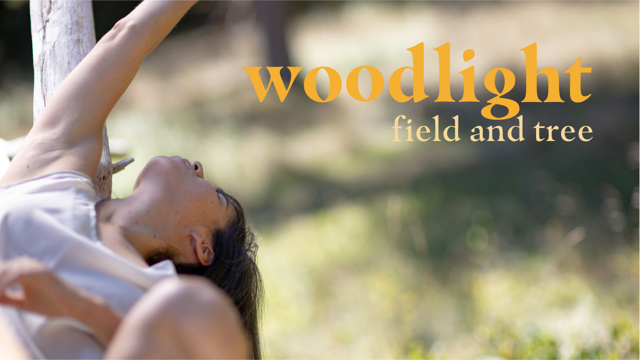Woodlight/ Field and Tree